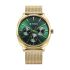 Titan Classique Suave Quartz Green Dial Golden Stainless Steel Mesh Strap Watch for Men-90189YM01/NT90189YM01