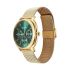 Titan Classique Suave Quartz Green Dial Golden Stainless Steel Mesh Strap Watch for Men-90189YM01/NT90189YM01