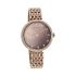 Titan Animalia Brown Dial Analog Stainless Steel Strap Watch for Women-NS95129QM01/NT95129QM01