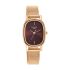 Titan Raga Viva Brown Dial Analog Stainless Steel Strap Watch for Women-NS2665WM01