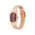 Titan Raga Viva Brown Dial Analog Stainless Steel Strap Watch for Women-NS2665WM01