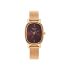 Titan Raga Viva Brown Dial Analog Stainless Steel Strap Watch for Women-NS2665WM01