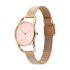 Titan Raga Chic Quartz Analog Pink Dial Metal Strap Watch for Women-2696WM01/NT2696WM01