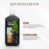 Just Herbs Deep Cleansing Cooling Body Wash with Mint and Activated Charcoal for Men and Women 300 ml