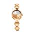 Titan Raga Delight Two Toned Dial Women Watch with Metal Strap-NS2606WM11/NT2606WM11