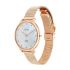 Titan Edge Metal Ladies Allure Quartz Analog Rich Mother of Pearl Dial Stainless Steel Strap Watch for Women-2654WM02/NT2654WM02