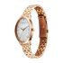 Titan Purple Secluded Quartz Analog Rose Gold Dial with Rose Gold Plating Stainless Steel Strap Watch for Women