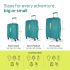 American Tourister Ivy 3 Pc Set 55 Cms, 68 Cms & 77 Cms Small, Medium & Large Polypropylene (PP) Hard Sided 4 Spinner Wheels Luggage/Trolley Bag with TSA Lock (Sea Green)