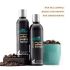 mCaffeine Must-have Coffee Hair Care Kit for Hair Fall Control & Hair Growth | Shampoo, Hair Oil | All Hair Types | Sulphate, Silicone & Mineral Oil Free