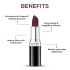 RENEE Stunner Matte Lipstick - Fired Up 4gm| Intense Color Pay Off, Full Coverage Long Lasting Weightless Velvety Formula with One Swipe Application| Enriched with Vitamin E & Hyaluronic Acid