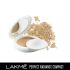 LAKMÉ Perfect Radiance Compact Powder, Ivory Fair 01, 8 Gm Compact Powder With Spf 23 Soothing And Moisturising Compact Smooth Matte Finish