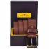 URBAN FOREST Marco Burnish Brown Casual Leather Belt for Men