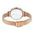 Titan Raga Power Pearls Quartz Analog Mother of Pearl Dial Metal Strap Watch for Women-NS2666WM01/NT2666WM01
