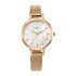 Titan Raga Power Pearls Quartz Analog Mother of Pearl Dial Metal Strap Watch for Women-NS2666WM01/NT2666WM01