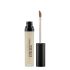 Swiss Beauty Liquid Light Weight Concealer With Full Coverage |Easily Blendable Concealer For Face Makeup With Matte Finish | Shade- Light - Moyen, 6g