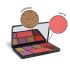 RENEE Eyeshadow Palette, Long Lasting, High Pigmented Multicolor Eye Makeup with Mattes & Shimmers, Naughty Hour 15gm