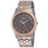 Titan Brown Dial Analog with Day and Date Stainless Steel Strap Watch for Men-NN1824KM01/NT1824KM01