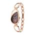 Titan Raga Chic Quartz Analog Brown Dial Rose Gold Metal Strap Watch for Women-NS2688WM01/NT2688WM01