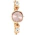 Titan Raga Love All Pink Dial Analog Metal Strap Watch for Women-NS2606WM10/NT2606WM10