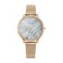 Titan Edge Metal Ladies Allure Quartz Analog Rich Mother of Pearl Dial Stainless Steel Strap Watch for Women-2654WM02/NT2654WM02
