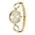 Titan Raga Viva Golden Dial Quartz Analog with Date Metal Strap Watch for Women-NS2685YM01/NT2685YM01