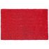 Onlymat Natural Coir Anti-Slip Rectangular Entryway Doormat, PVC Backing for Outdoor Entrance, Home, Floor, Door, Hall, Drawing Room, Living Room (Red, 60 x 40 cm)