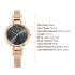 Titan Raga Viva Anthracite Dial Women Analog Rose Gold Watch With Metal Strap-NS2608WM02