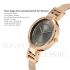 Titan Raga Viva Anthracite Dial Women Analog Rose Gold Watch With Metal Strap-NS2608WM02
