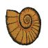 Onlymat Hand-Crafted Snail Shape Anti-Slip Back for Indoor, Outdoor, Patio, Home, and Office Weatherproof, Large, and Thick Entryway Decor Natural Coir Doormat, Brown (56 x 56cm)
