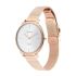 Titan Edge White Dial Analog Stainless Steel Strap Watch for Women-NS2654WM01/NT2654WM01
