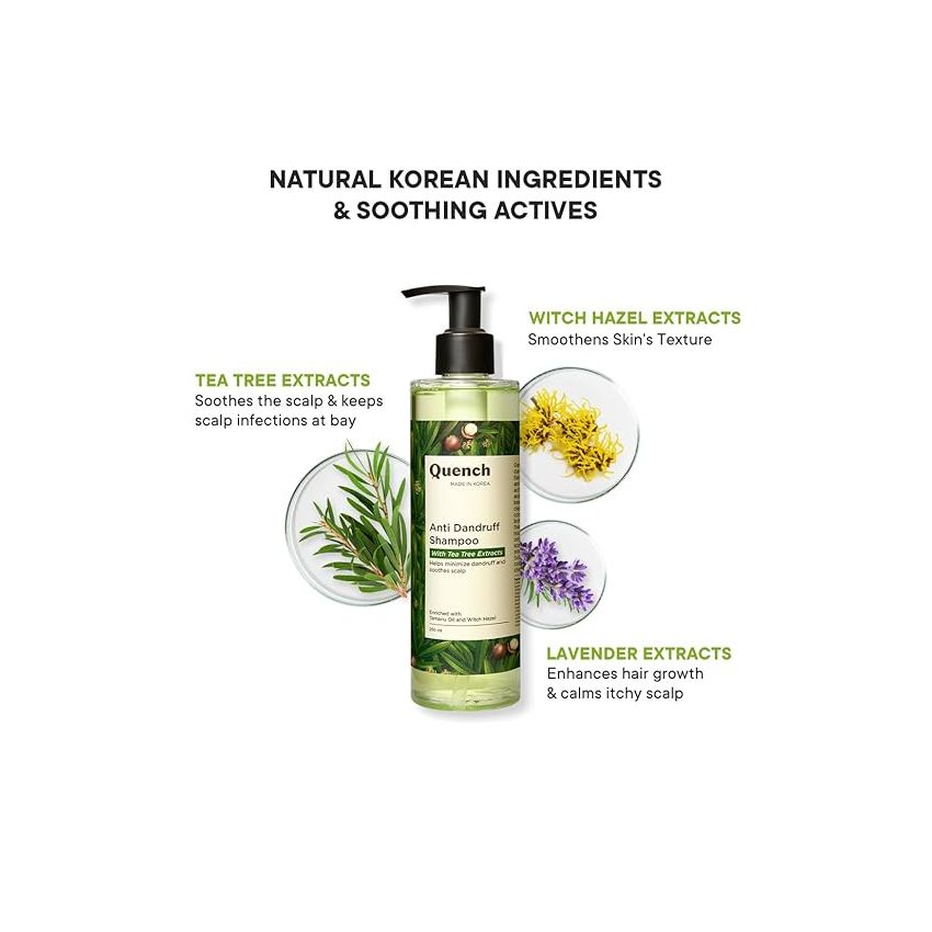 Quench Anti Dandruff Shampoo with Tea Tree Extracts, Minimizes Dandruff Flakes, Soothes Itchy & Dry Scalp, Makes Hair Soft, Smooth & Silky, Made in Korea (250 ml)