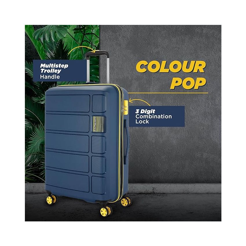 American Tourister Ivy 3 Pc Set 55 Cms, 68 Cms & 77Cm Small, Medium & Large Polypropylene (Pp) Hard Sided 4 Spinner Wheels Luggage/Speed_Wheel Trolley Bag with Tsa Lock (Black), 78 Centimeters