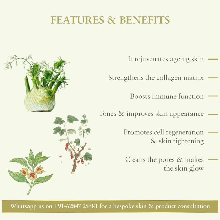 Just Herbs Plump Up Antiwrinkle Gel, 50 g