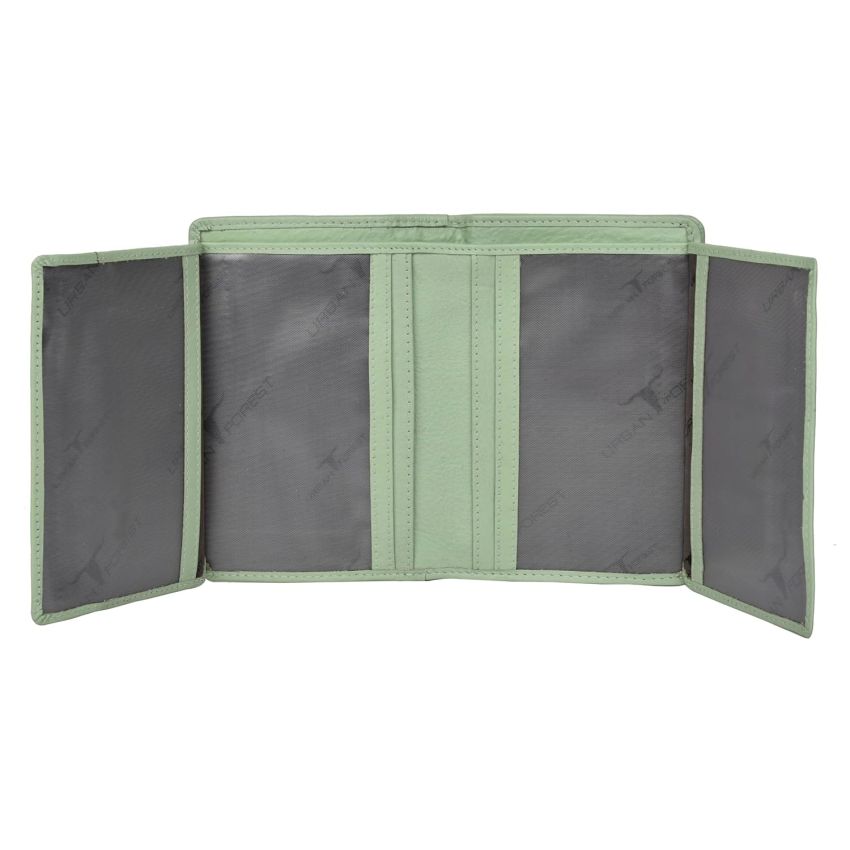 URBAN FOREST Arya Mint Green Leather Wallet for Women
