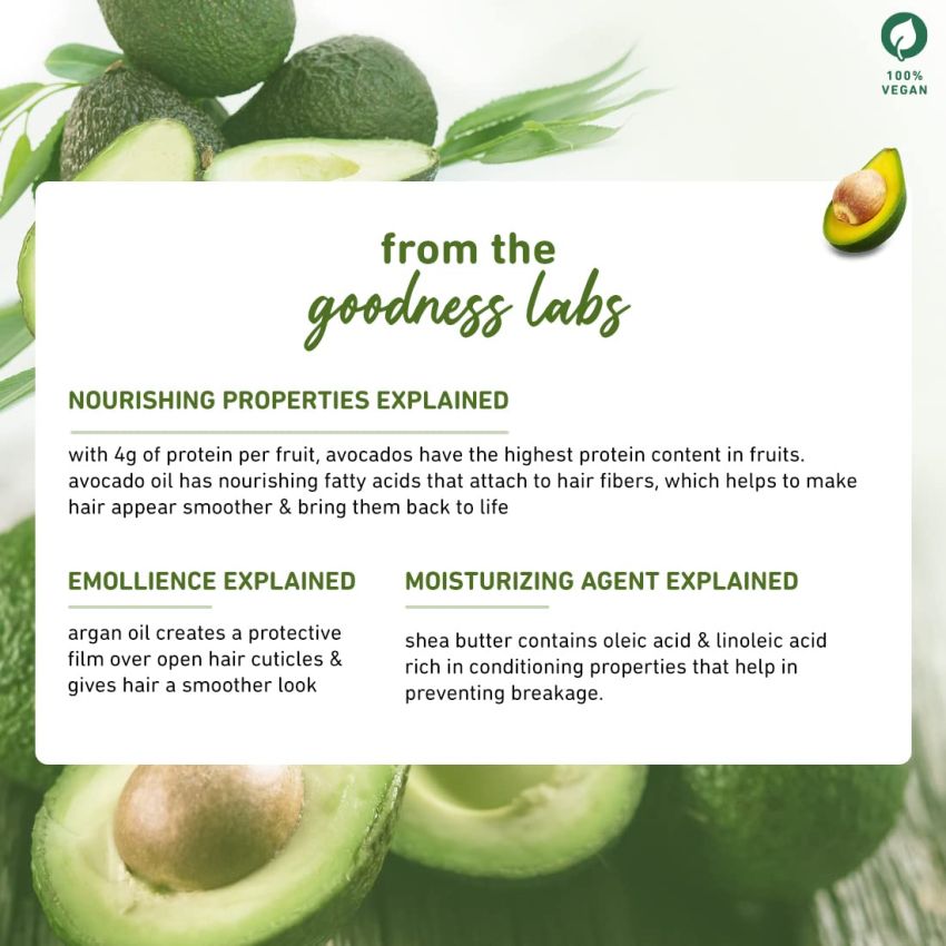 Avocado & Argan Frizz Control Conditioner I For Frizzy, Curly & Wavy Hair | Contains Avocado Oil, Shea Butter & Argan Oil | Sulphate-Free I 100% Vegan