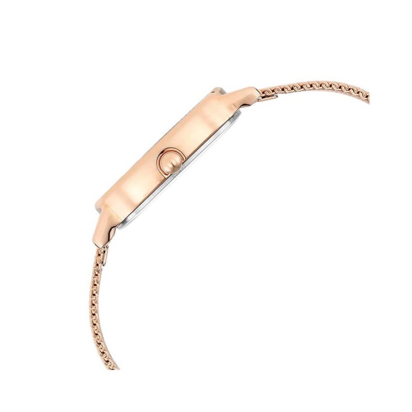 Titan Raga Viva Brown Dial Analog Stainless Steel Strap Watch for Women-NS2665WM01