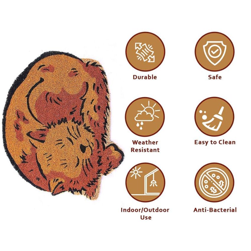 Onlymat Coir Cat Shaped Mat for Outdoor Entrance, Non-Slip Door Rectangular Rug with Heavy Duty PVC Backing, Perfect for Indoor-Outdoor Use, Multicolor, 23.63