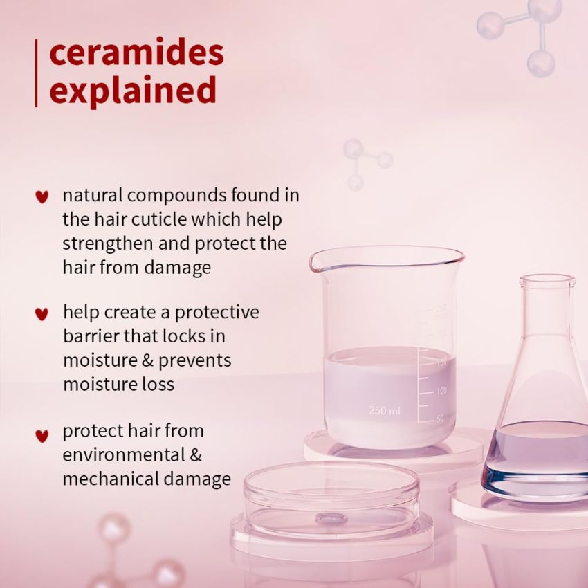 Plum Hibiscus & Ceramides Shampoo for Hair Growth | Provides Silky, Smooth & Long Hair | Repair Split End | Paraben Free shampoo for Women & Men | for All Hair Types | Safe for Daily Use | 250ml