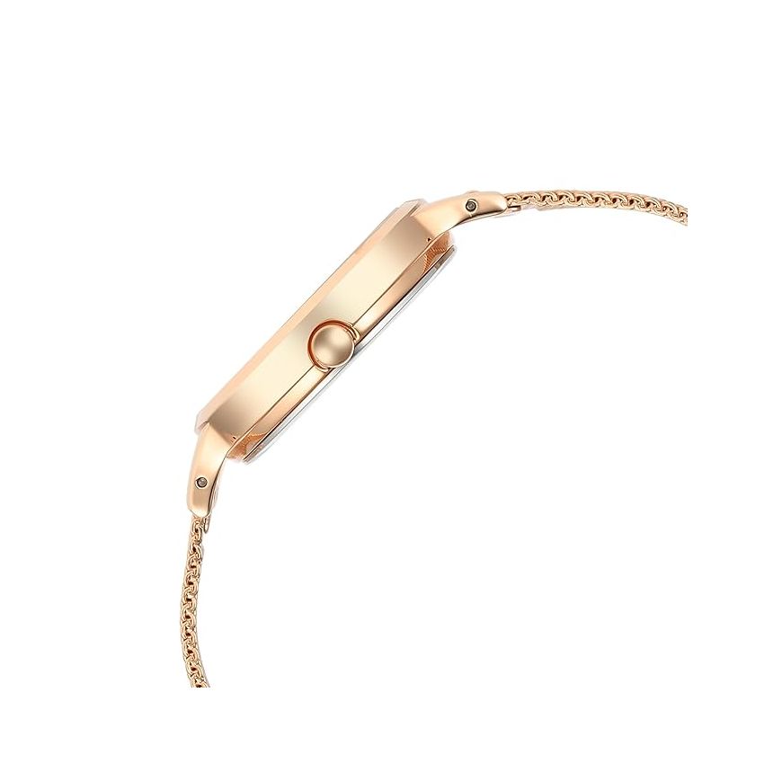 Titan Raga Power Pearls Quartz Analog Mother of Pearl Dial Metal Strap Watch for Women-NS2666WM01/NT2666WM01