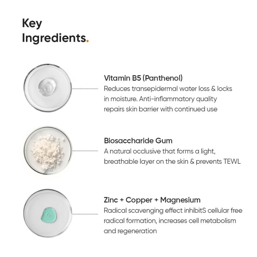 Minimalist Dehydrated Skin Moisturizer with 10% Vitamin B5 for Oily & Acne-Prone Skin | Oil-Free Hydration & Formula for Damaged Barrier Repair | Fast-Absorbing & Non-Sticky Lightweight Winter Cream For Women & Men | Fragrance-Free | 50 grams
