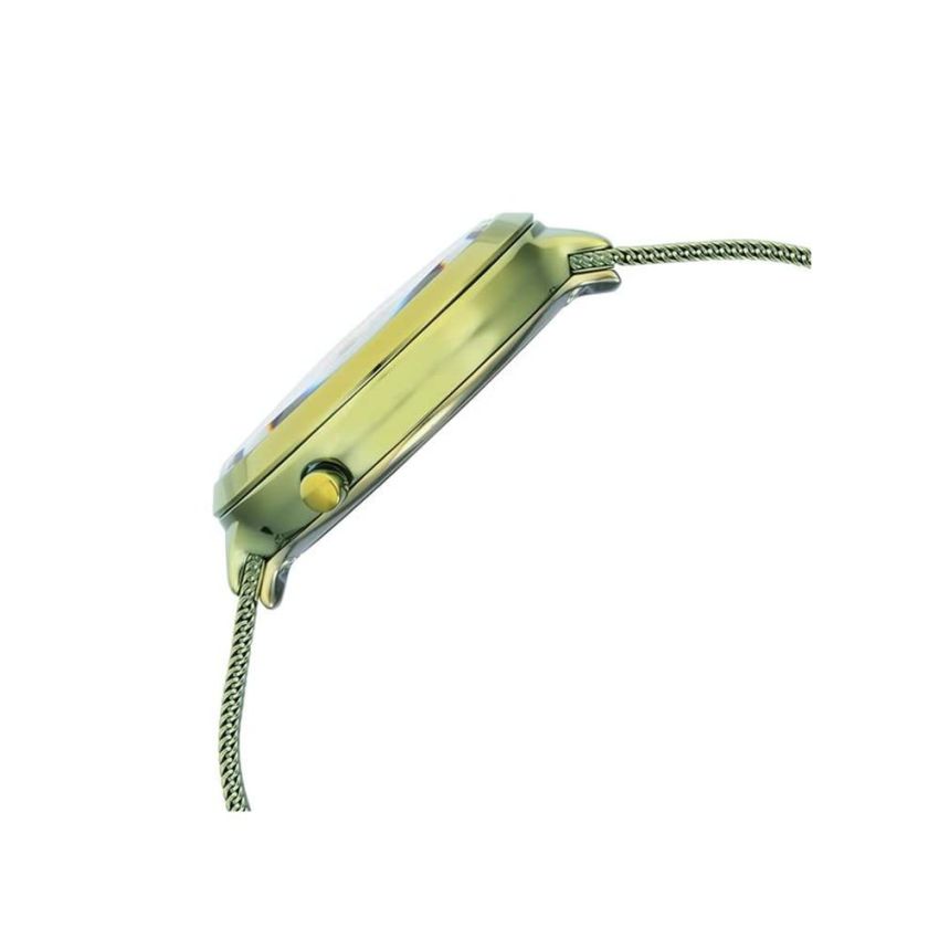 Titan Raga Moments of Joy Green Dial Analog Stainless Steel Strap Watch for Women-NS95134QM01/NT95134QM01