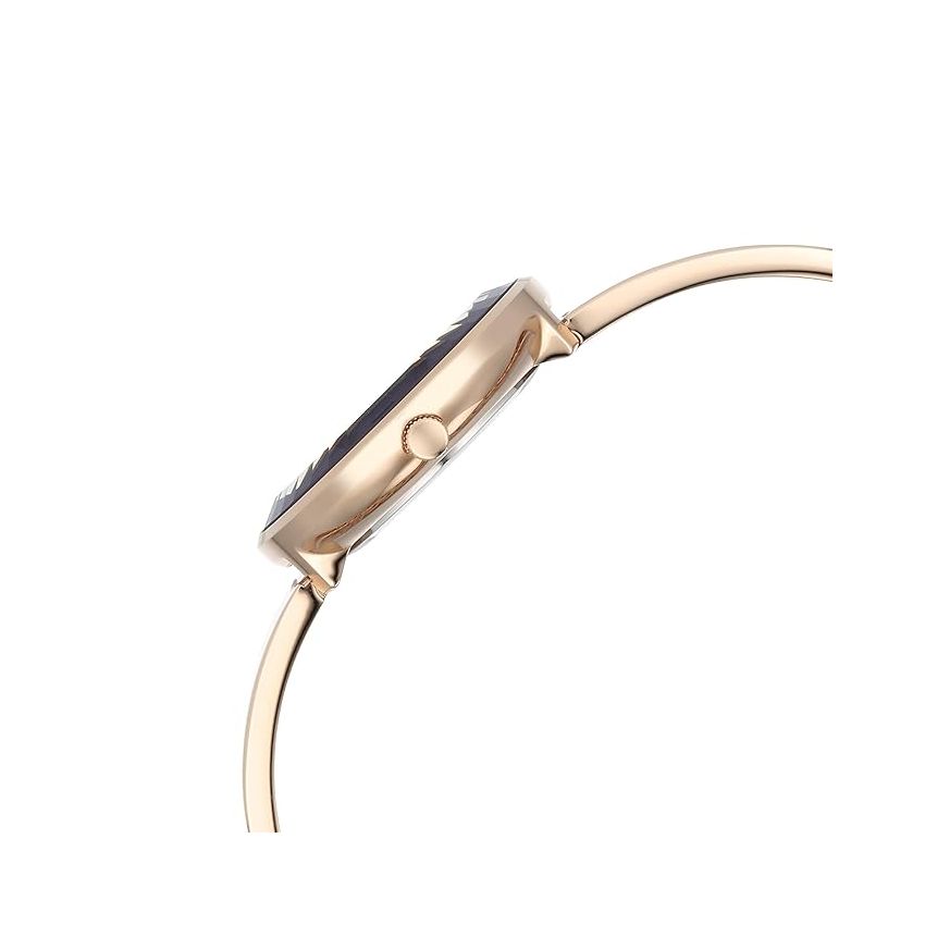 Titan Raga Showstopper Quartz Analog Purple Dial Metal Strap Watch for Women-95276WM01/NT95276WM01