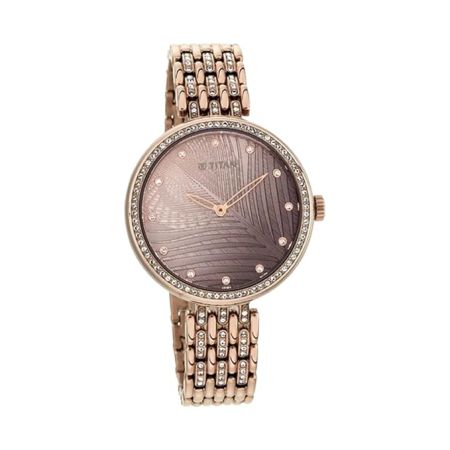 Titan Animalia Brown Dial Analog Stainless Steel Strap Watch for Women-NS95129QM01/NT95129QM01